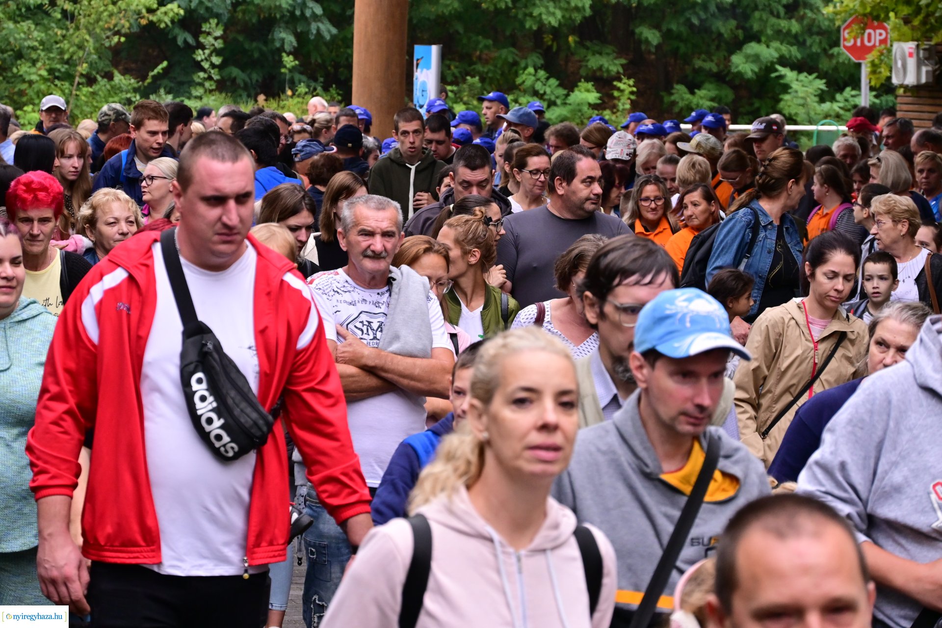 ÉFOÉSZ nap az Állatparkban 2024