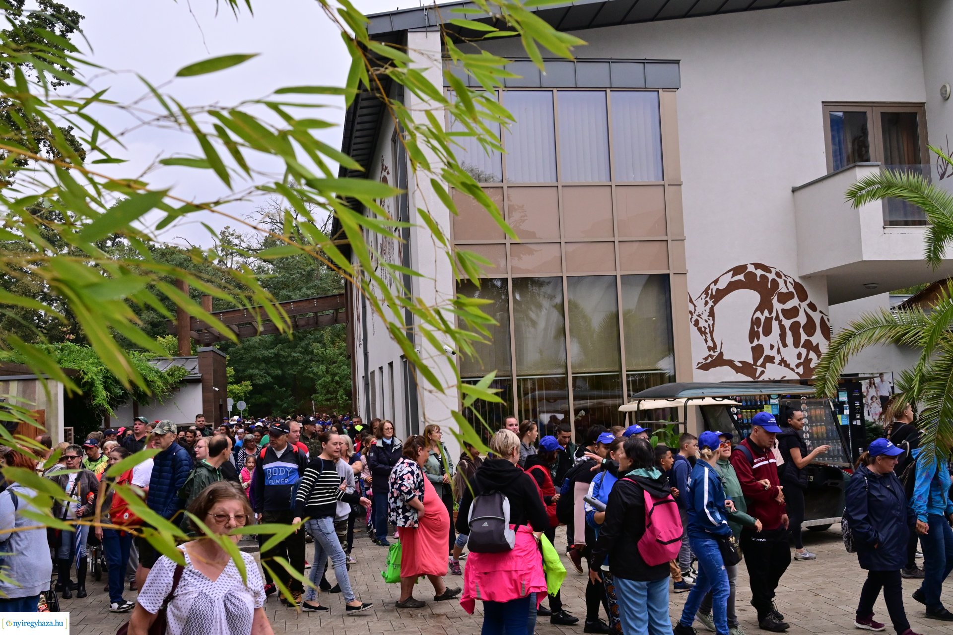 ÉFOÉSZ nap az Állatparkban 2024