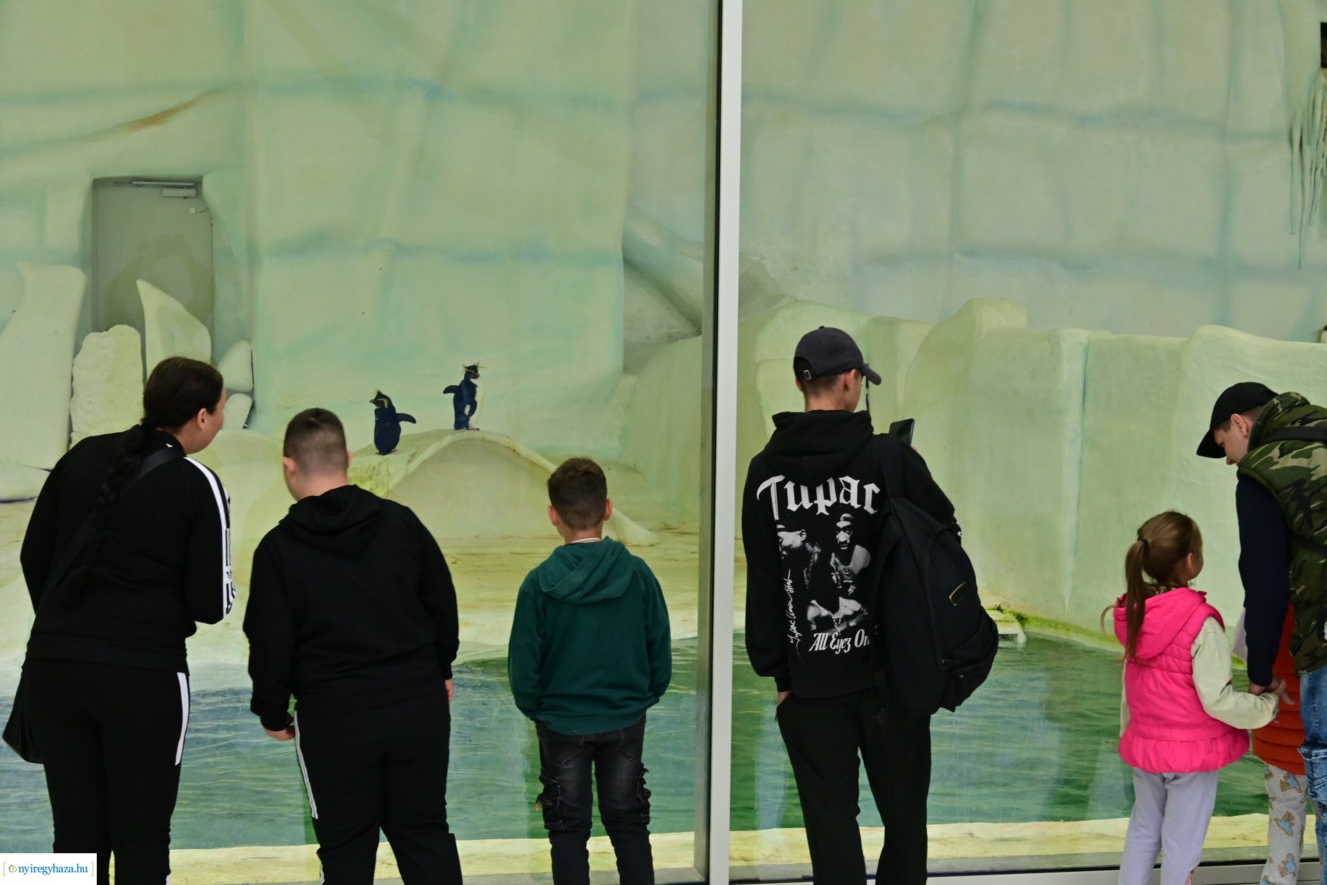 ÉFOÉSZ nap az Állatparkban 2024