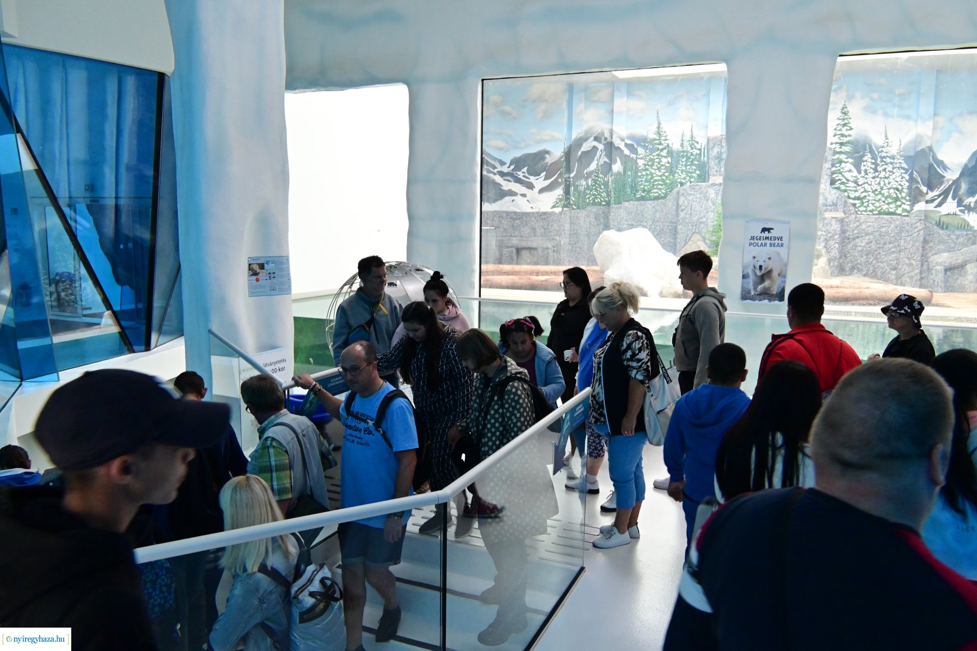 ÉFOÉSZ nap az Állatparkban 2024