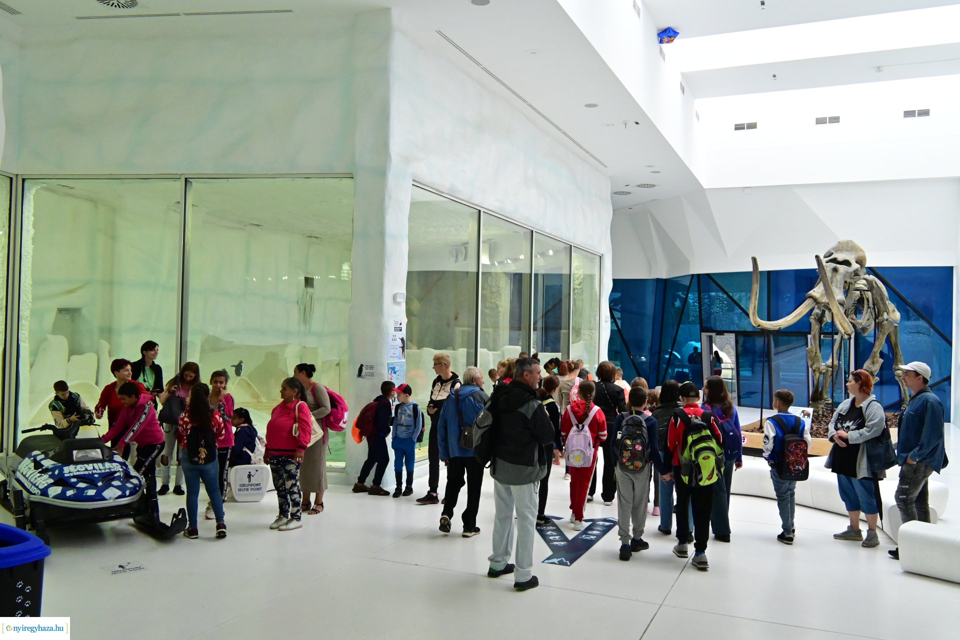 ÉFOÉSZ nap az Állatparkban 2024