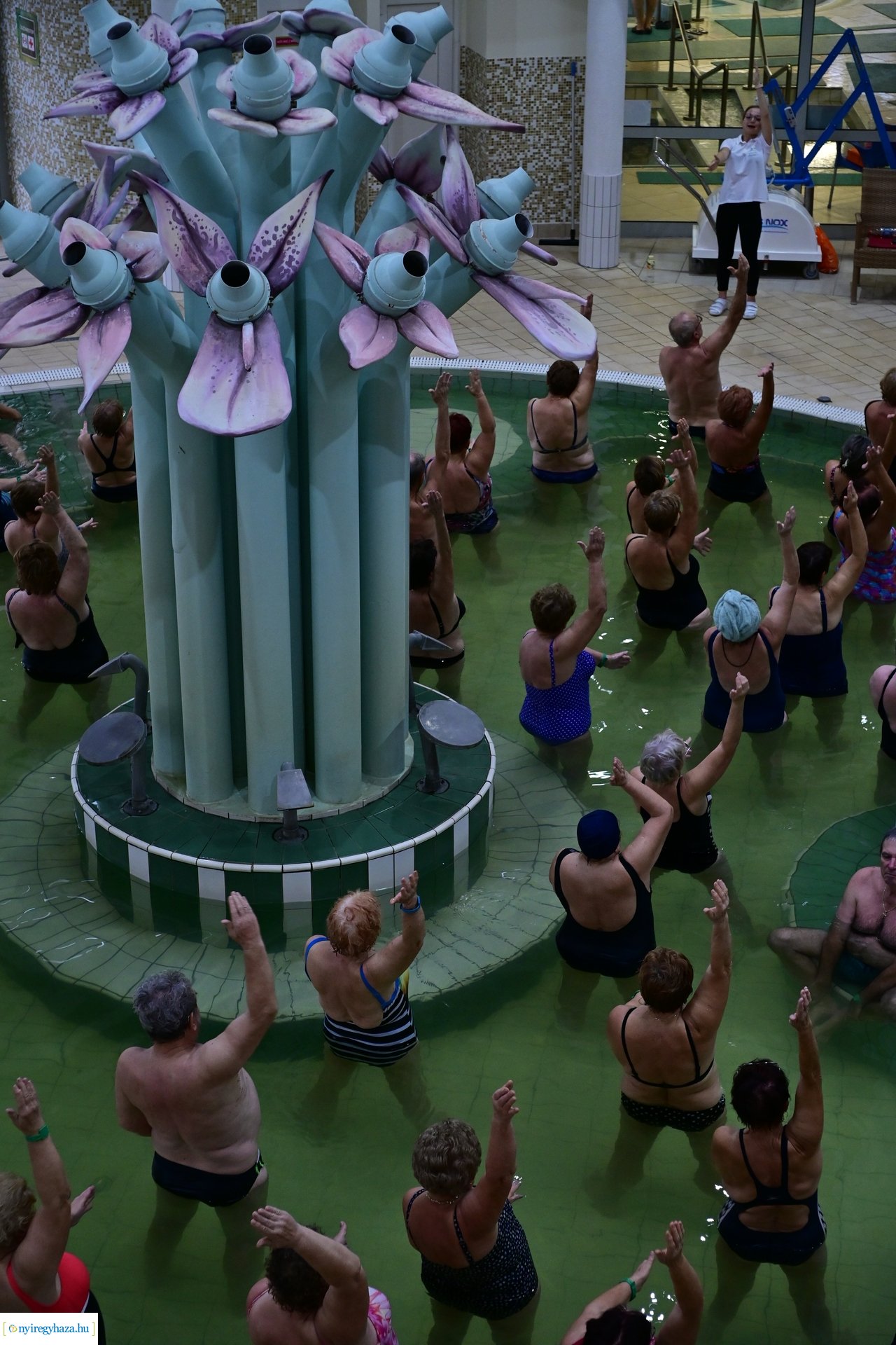 Egészségnap nyugdíjasoknak az Aquarius-ban 2024