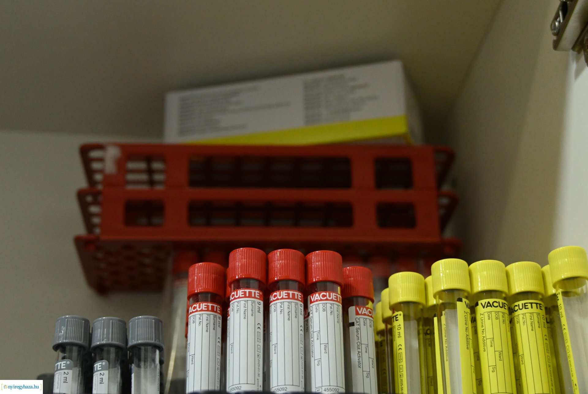 Egészségügyi szűrőhét a Nyírségi Egészség Kontroll Bt-nél