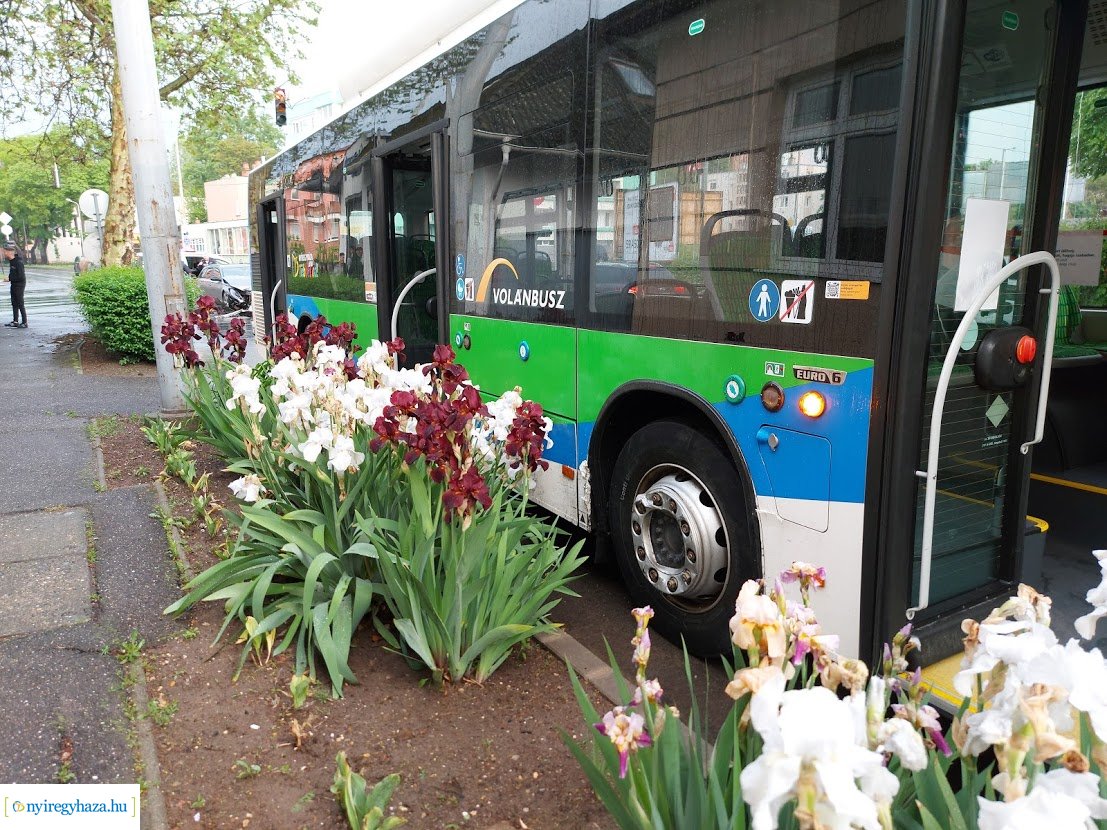 Egy busz és egy személyautó ütközött a Bocskai utca és az Inczédy sor kereszteződésében