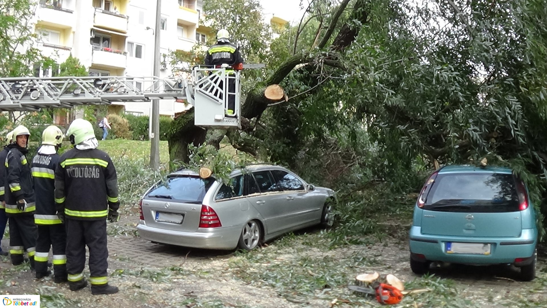 Egy korhadt fűzfa vezérága tört le csütörtökön a Fazekas János tér egyik parkolójánál