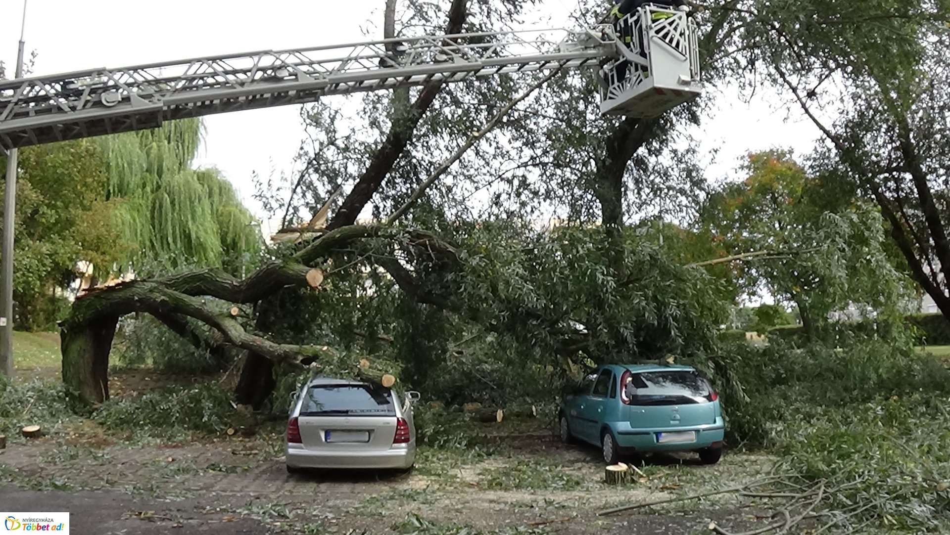 Egy korhadt fűzfa vezérága tört le csütörtökön a Fazekas János tér egyik parkolójánál