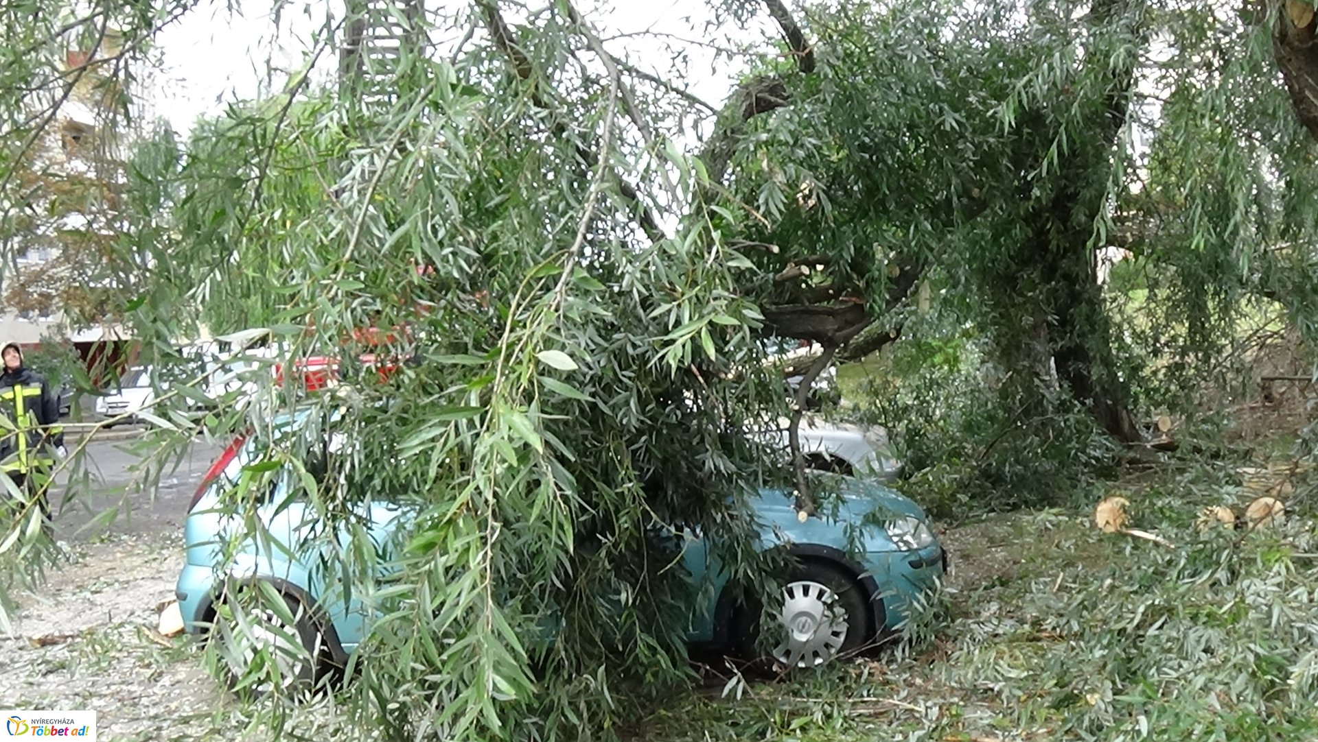 Egy korhadt fűzfa vezérága tört le csütörtökön a Fazekas János tér egyik parkolójánál
