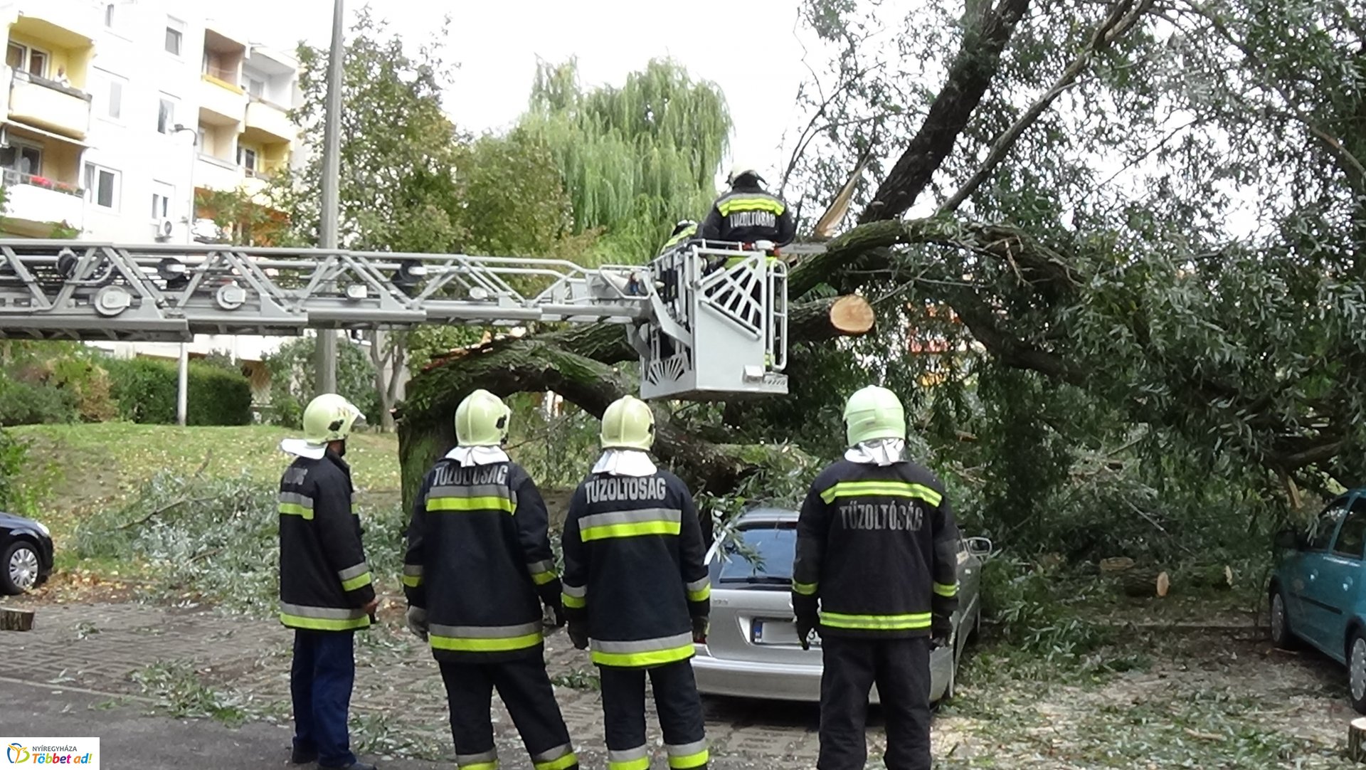 Egy korhadt fűzfa vezérága tört le csütörtökön a Fazekas János tér egyik parkolójánál
