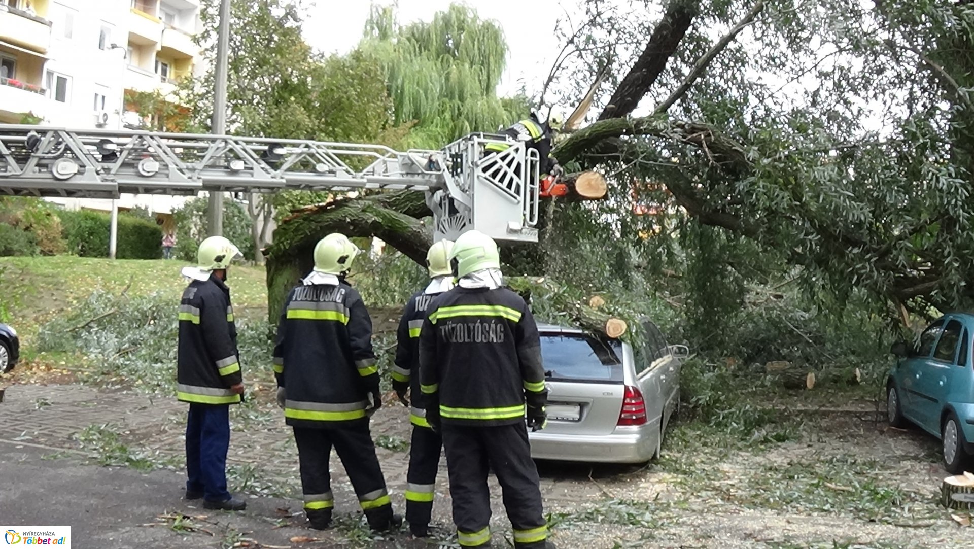 Egy korhadt fűzfa vezérága tört le csütörtökön a Fazekas János tér egyik parkolójánál