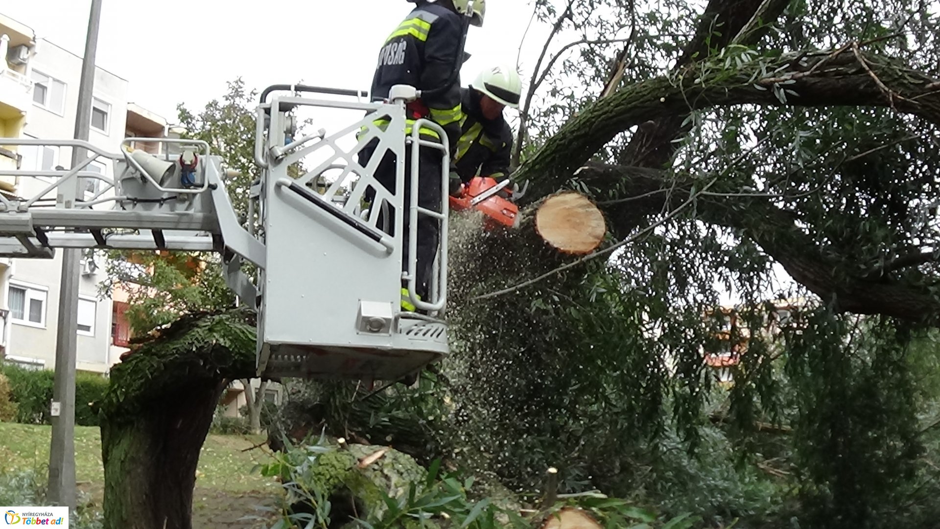 Egy korhadt fűzfa vezérága tört le csütörtökön a Fazekas János tér egyik parkolójánál