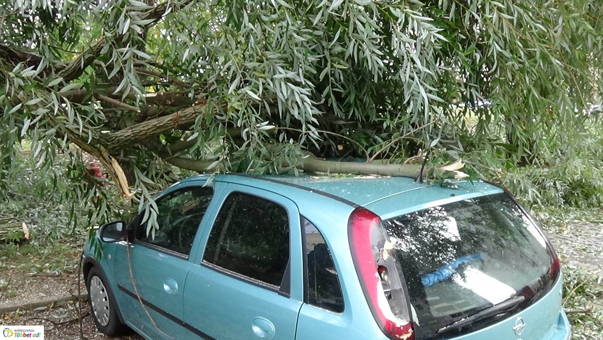 Egy korhadt fűzfa vezérága tört le csütörtökön a Fazekas János tér egyik parkolójánál