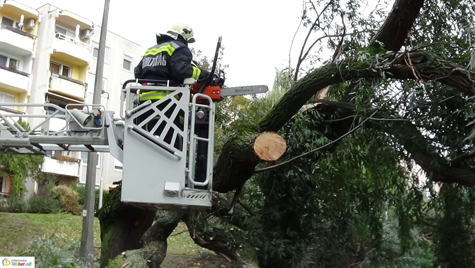 Egy korhadt fűzfa vezérága tört le csütörtökön a Fazekas János tér egyik parkolójánál