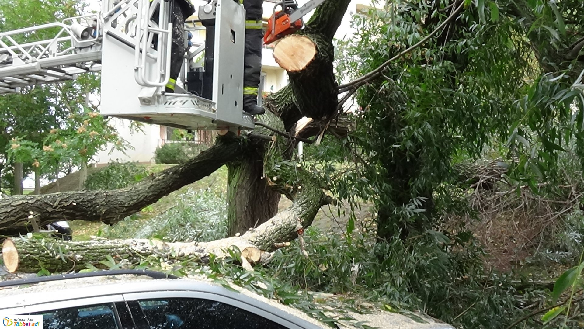 Egy korhadt fűzfa vezérága tört le csütörtökön a Fazekas János tér egyik parkolójánál
