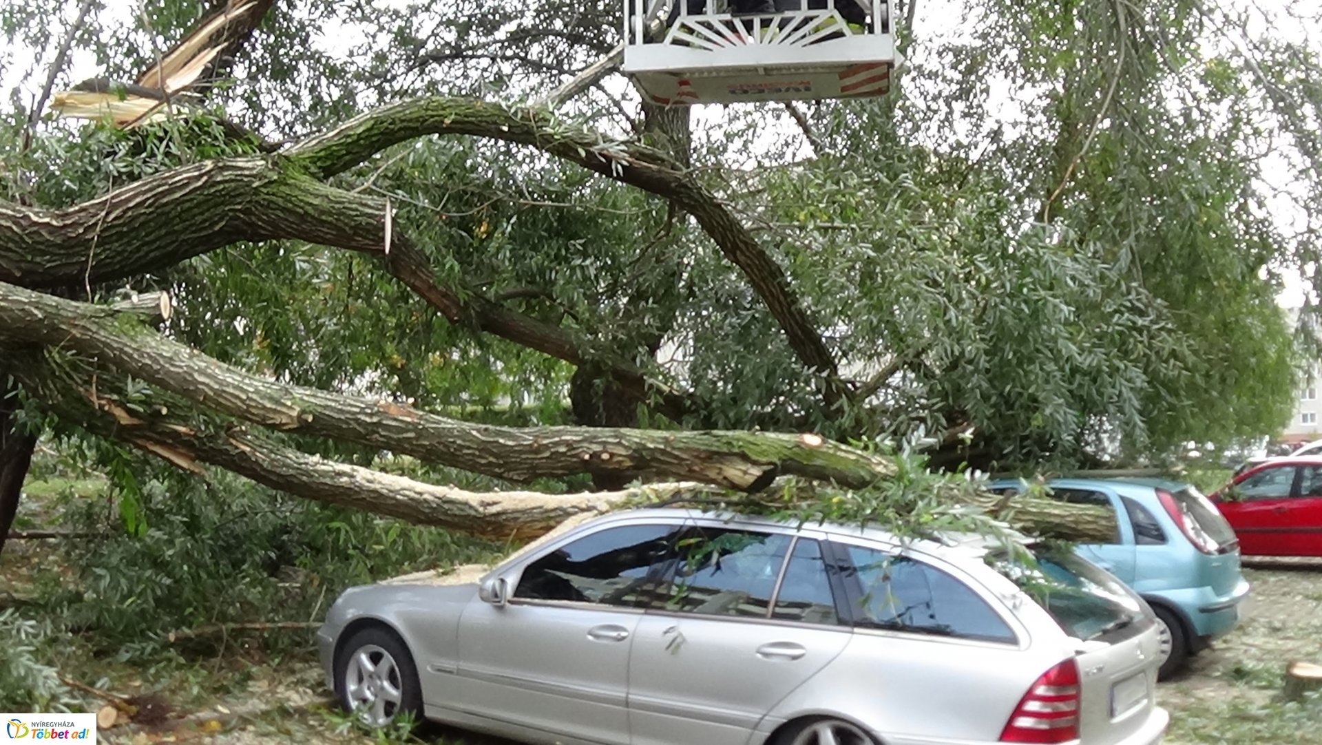 Egy korhadt fűzfa vezérága tört le csütörtökön a Fazekas János tér egyik parkolójánál