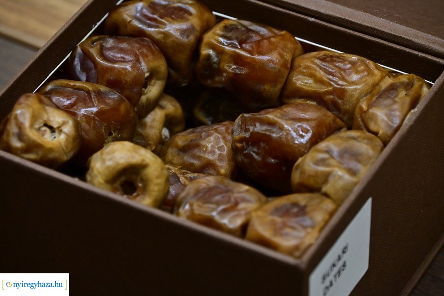 Egyesült Arab Emirátusok nagykövete a Városházán