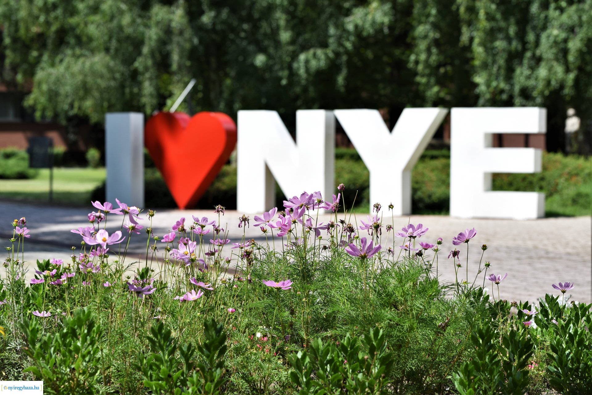 Egyetemi sajtótájékoztató a felvett hallgatók létszámáról