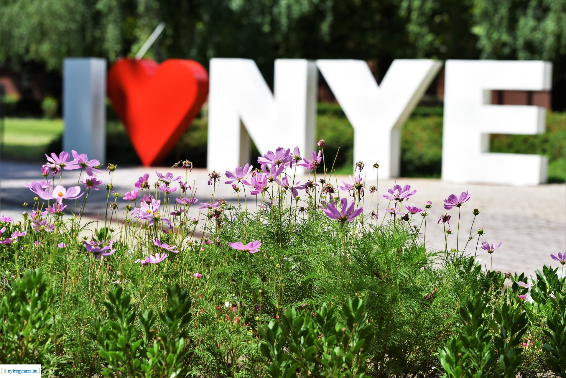 Egyetemi sajtótájékoztató a felvett hallgatók létszámáról