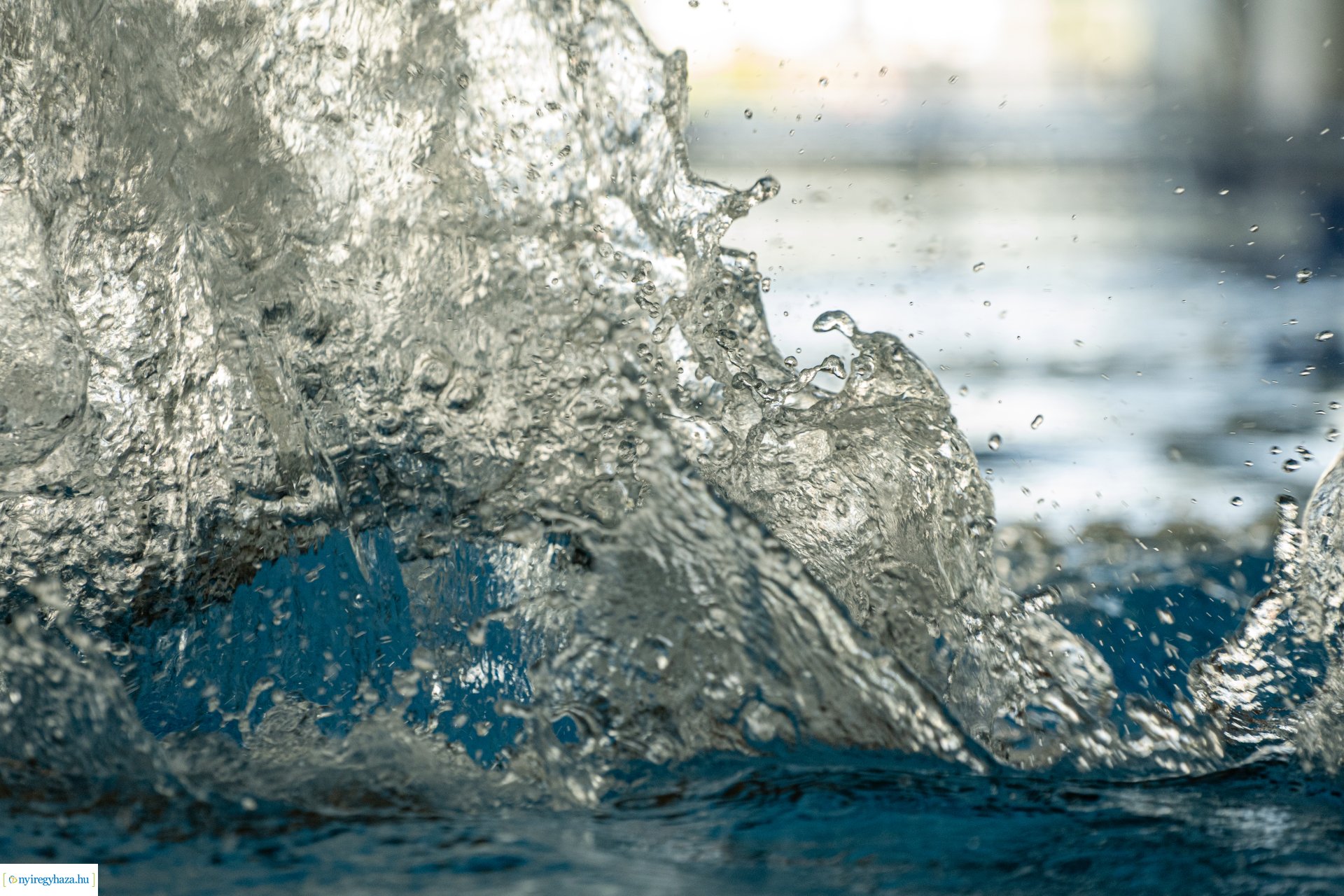 Egyiptomi edzőtáborozók edzettek Nyíregyházán