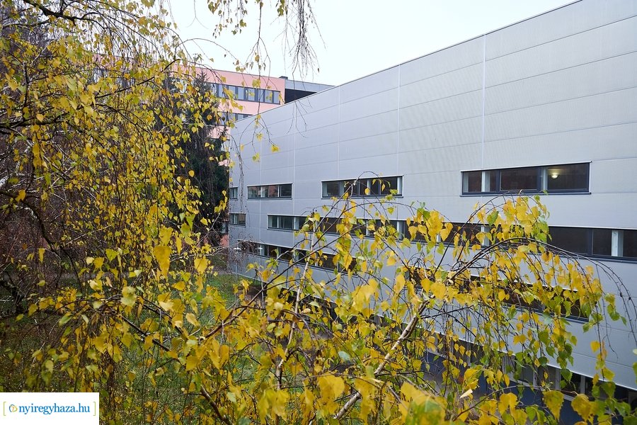 Együttműködési megállapodás az egyetemen 20201130