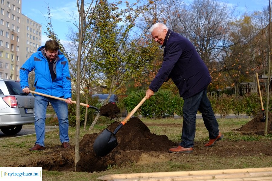Electrolux faültetés a Jósavárosban