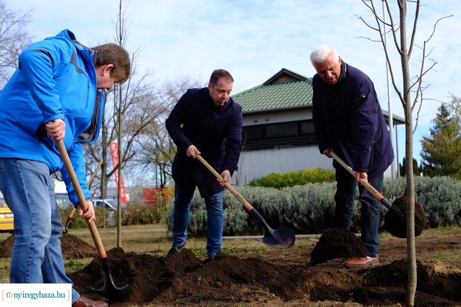Electrolux faültetés a Jósavárosban