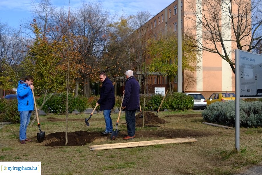 Electrolux faültetés a Jósavárosban
