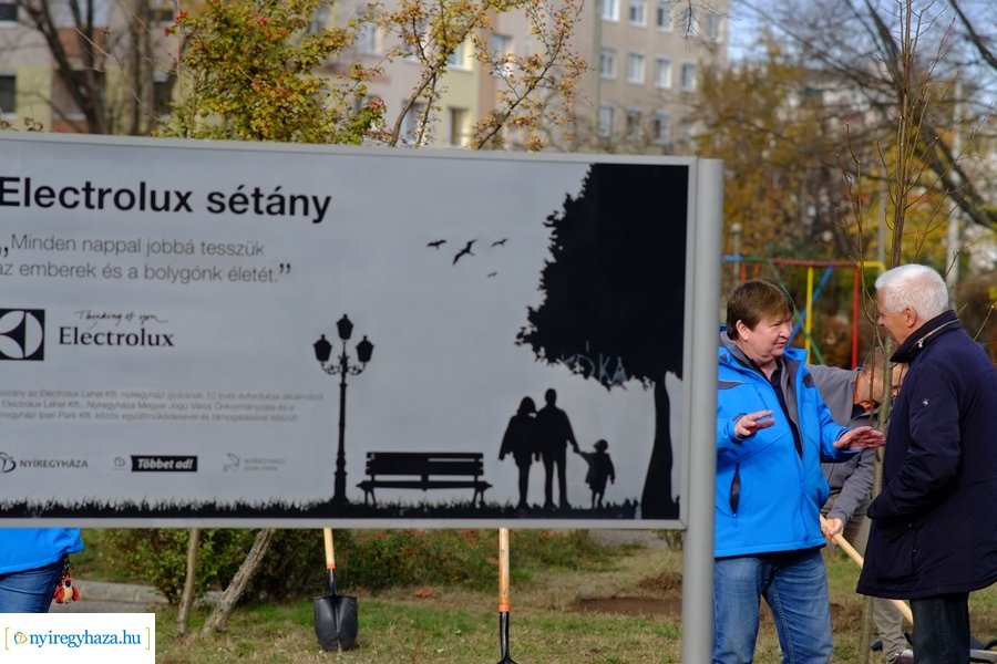 Electrolux faültetés a Jósavárosban