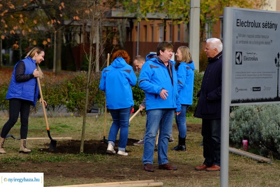 Electrolux faültetés a Jósavárosban