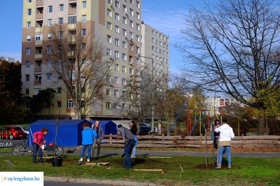 Electrolux faültetés a Jósavárosban