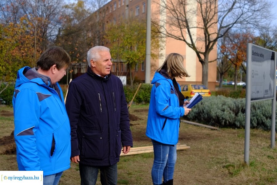 Electrolux faültetés a Jósavárosban