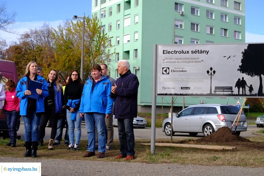 Electrolux faültetés a Jósavárosban
