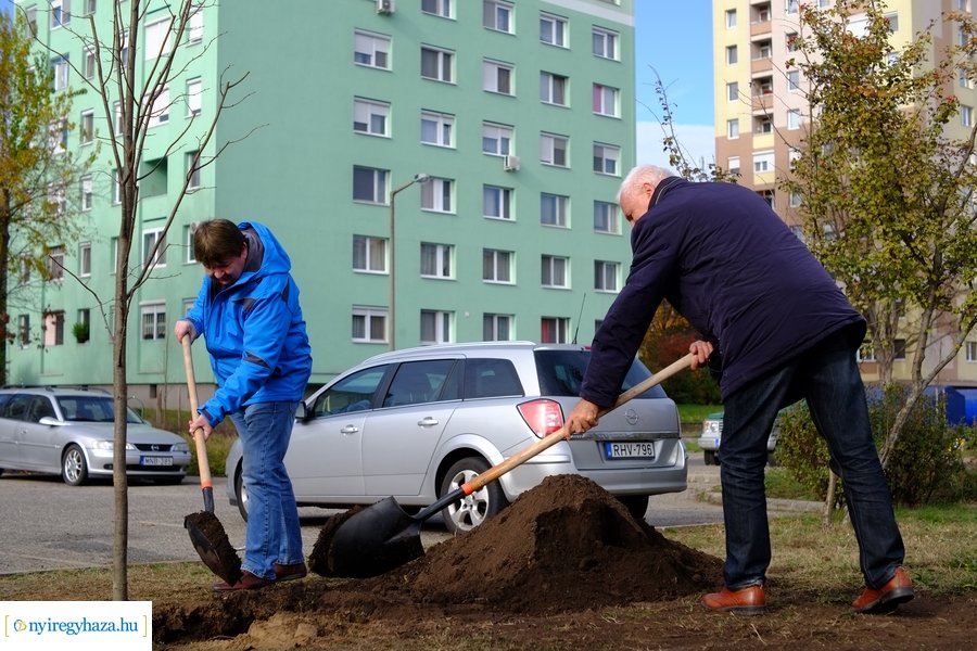 Electrolux faültetés a Jósavárosban