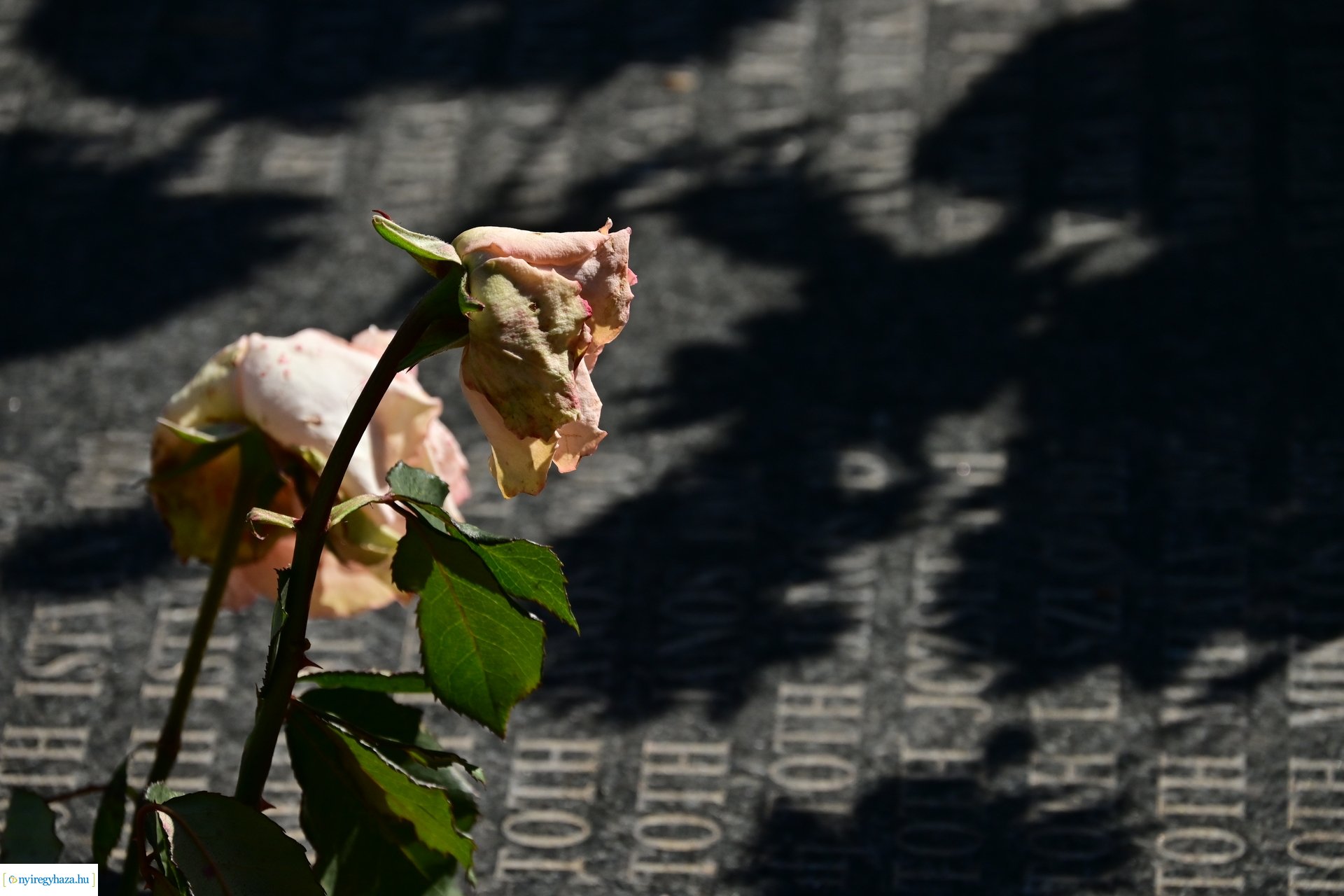 Elhurcoltak emléknapja 2024