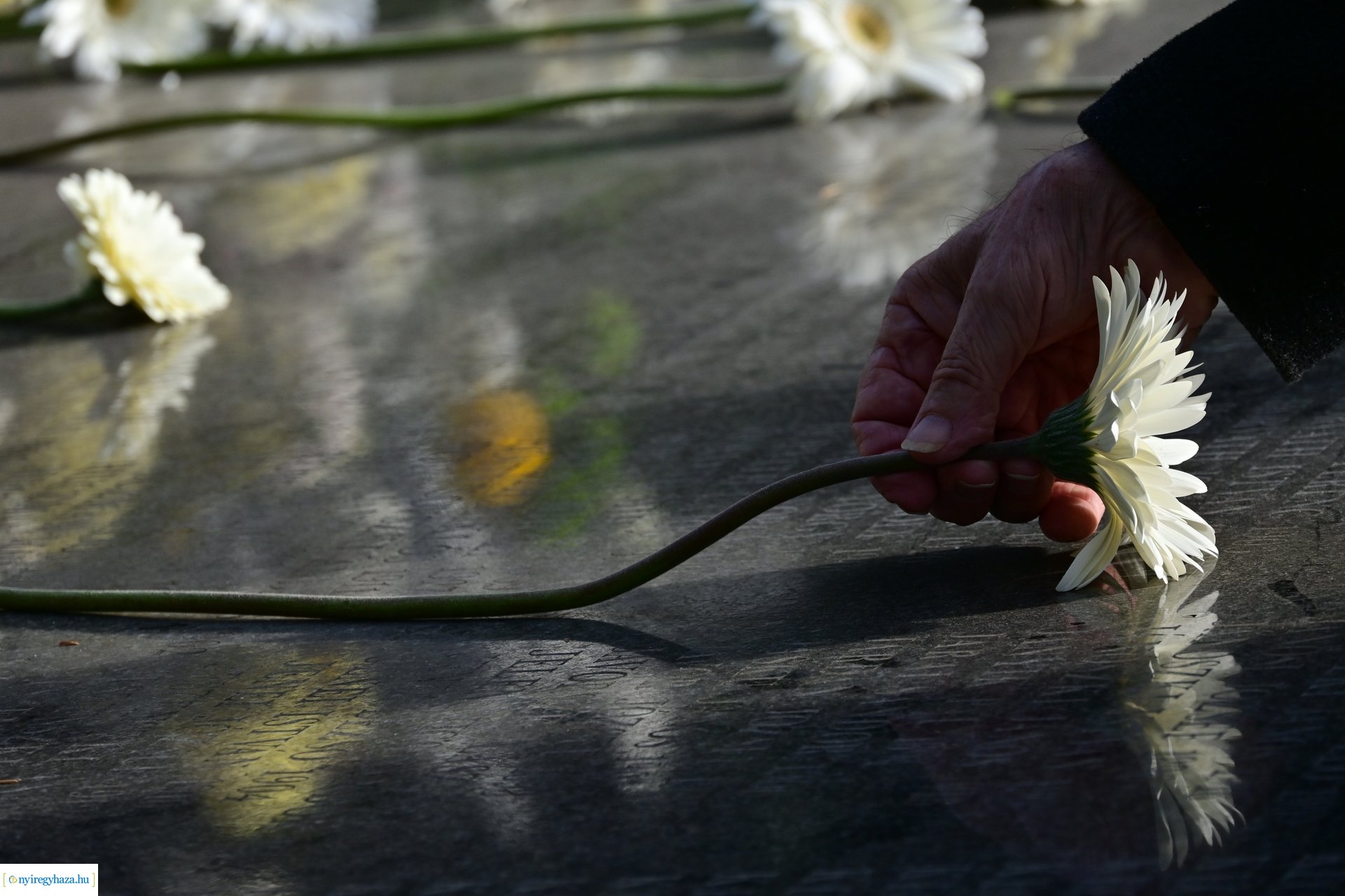 Elhurcoltak emléknapja 2024