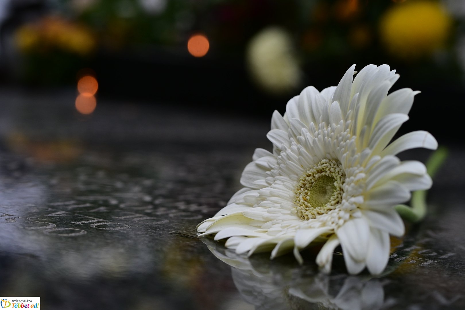 Elhurcoltak emléknapja 2025