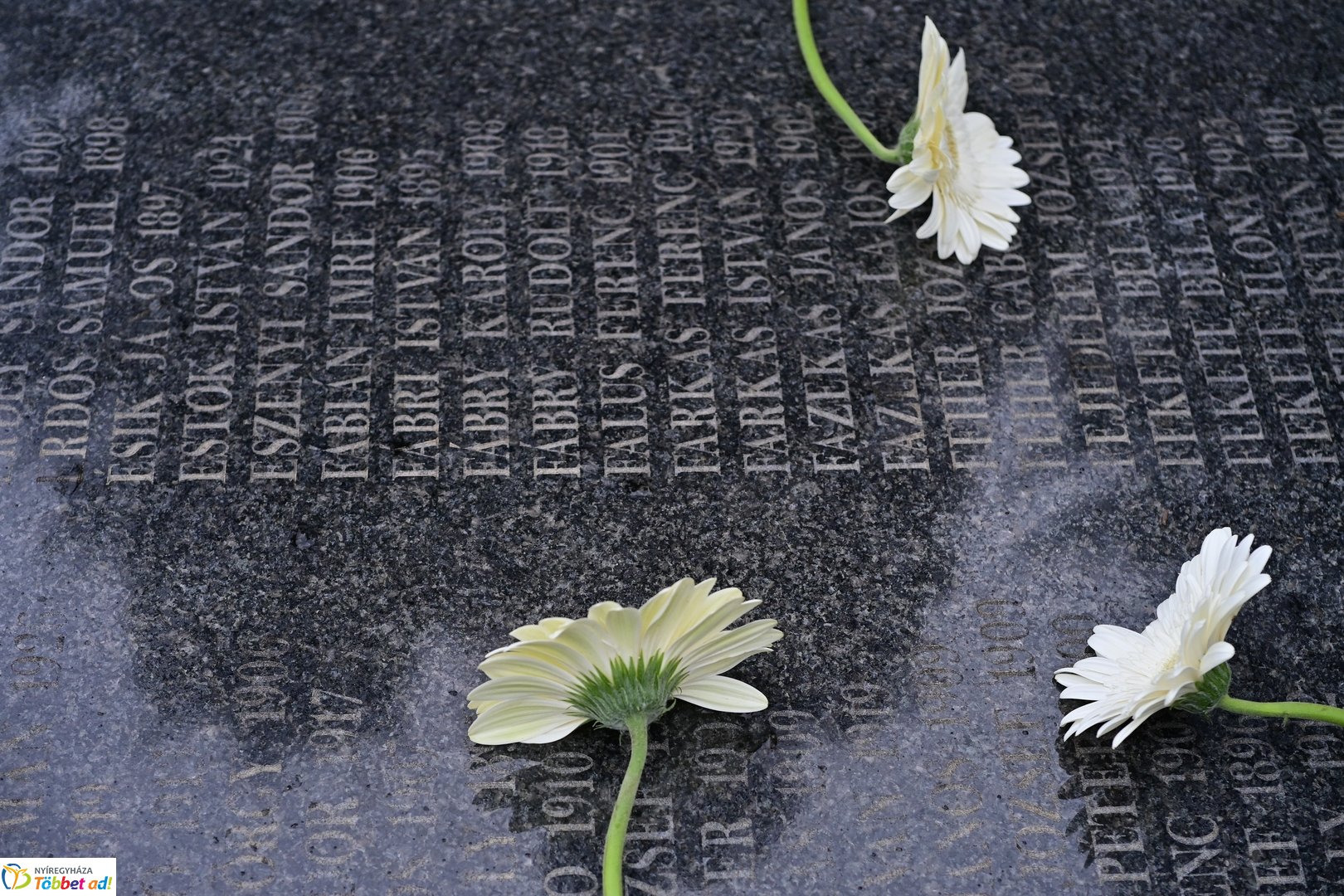 Elhurcoltak emléknapja 2025