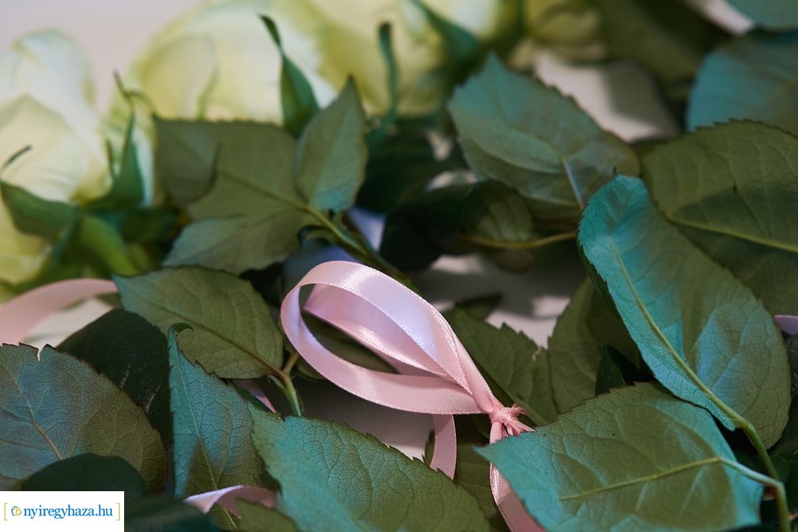 Elismerések az egészségügyi dolgozóknak