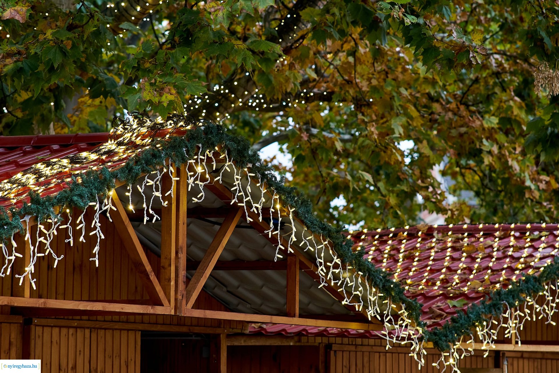 Elkezdték feldíszíteni Nyíregyháza karácsonyfáját 