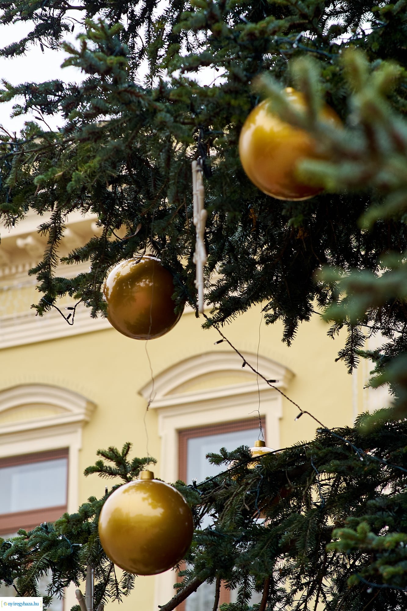 Elkezdték feldíszíteni Nyíregyháza karácsonyfáját 