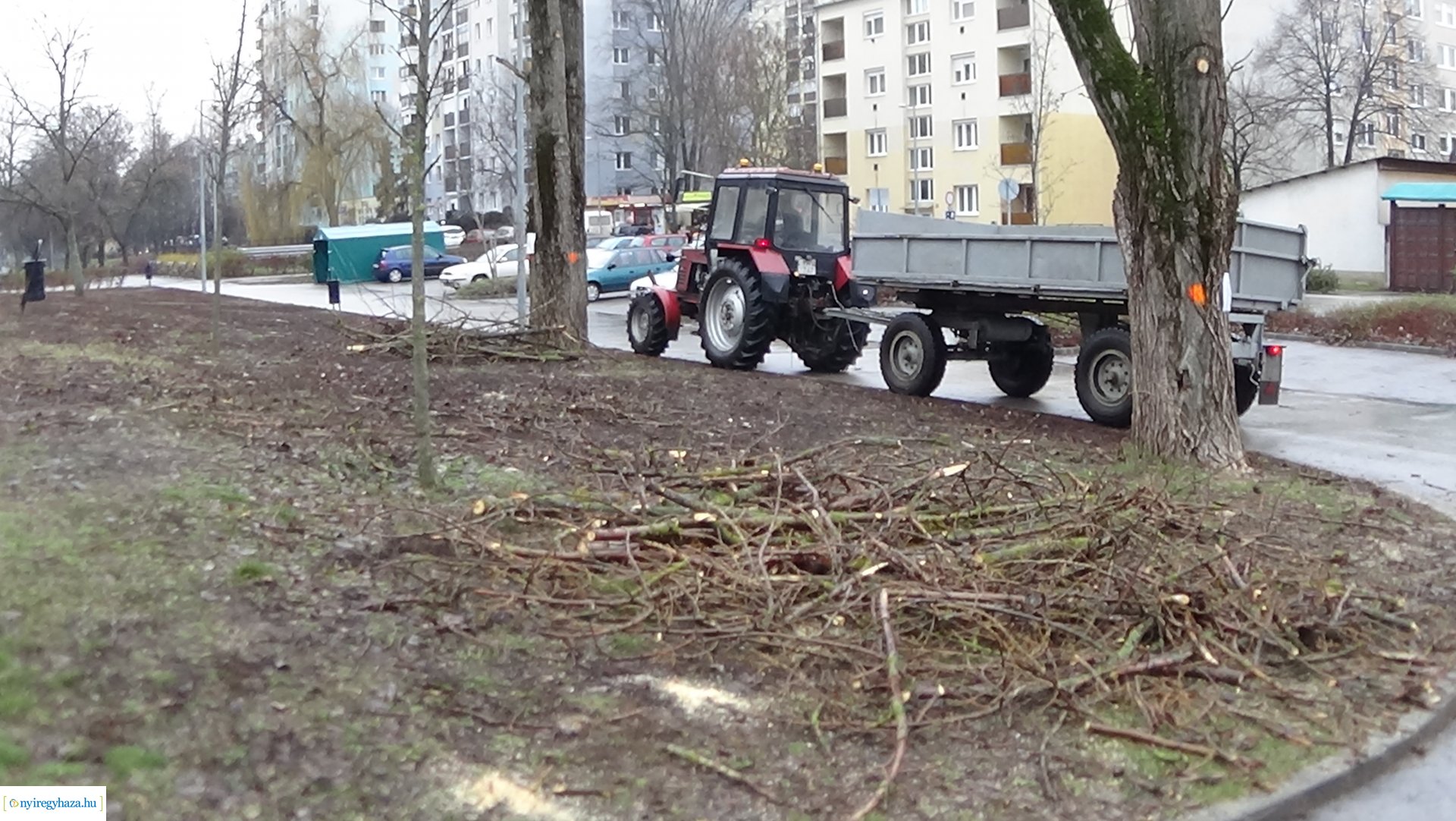 Elmaradt a Toldi utcai favágás