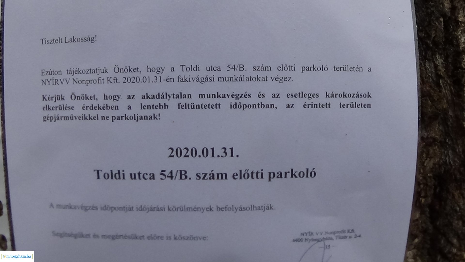 Elmaradt a Toldi utcai favágás