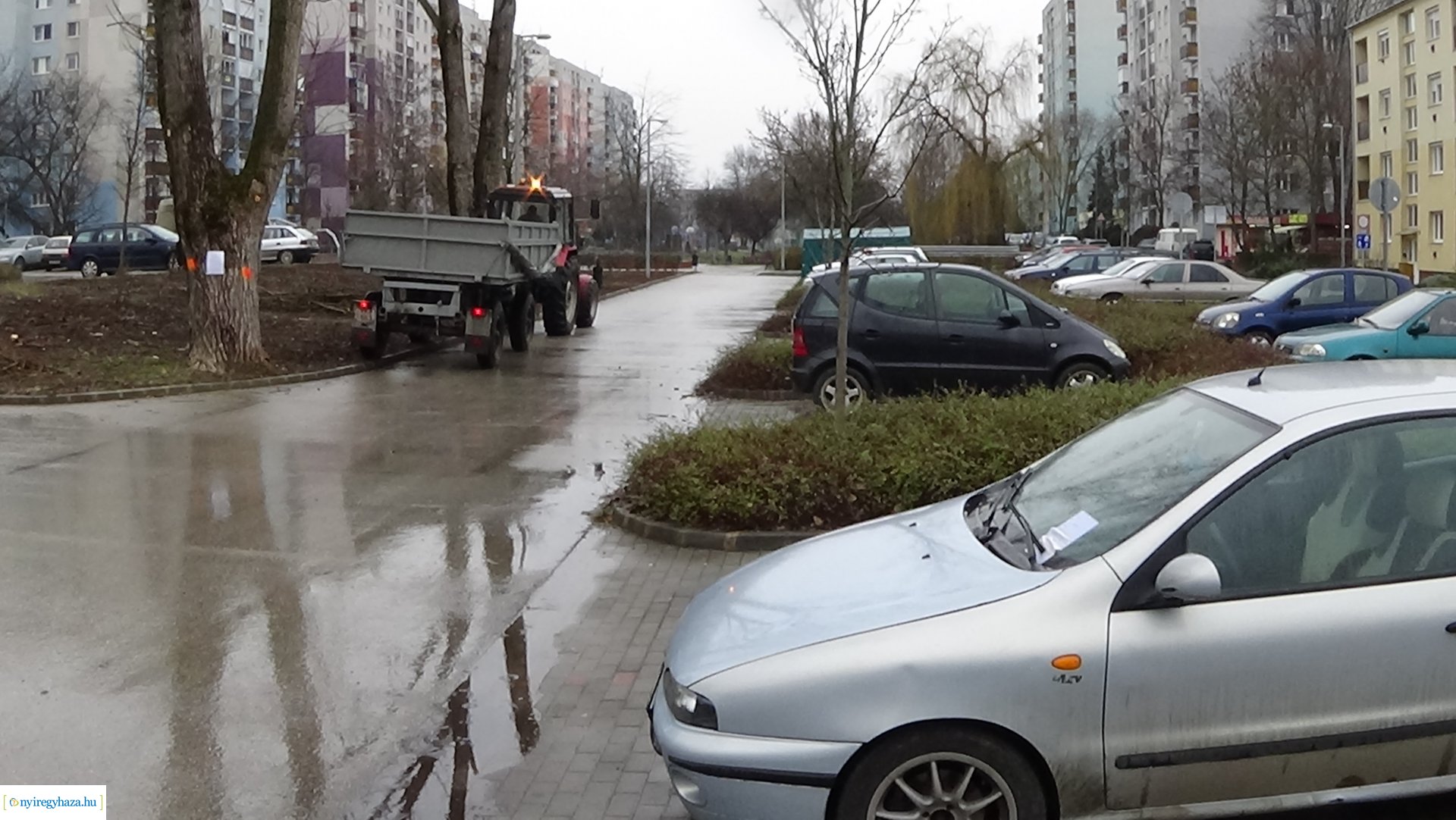 Elmaradt a Toldi utcai favágás