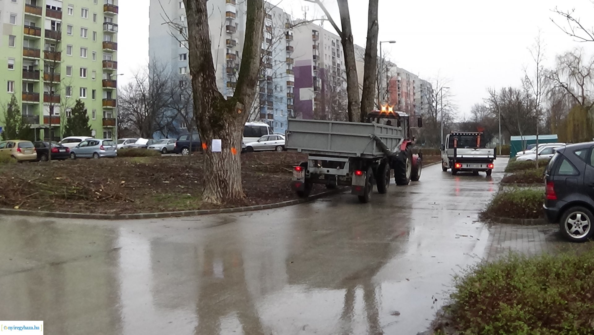 Elmaradt a Toldi utcai favágás