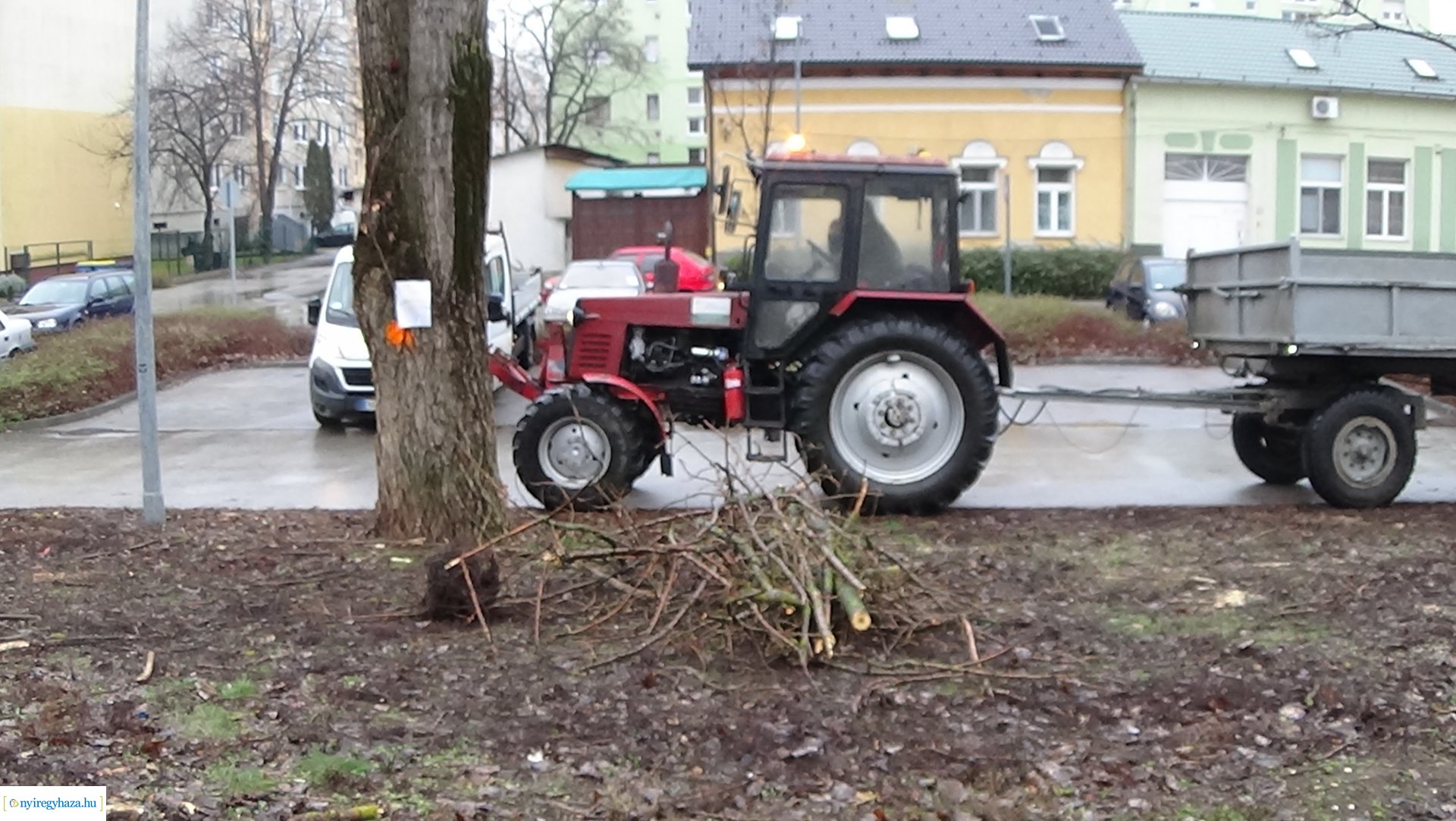 Elmaradt a Toldi utcai favágás