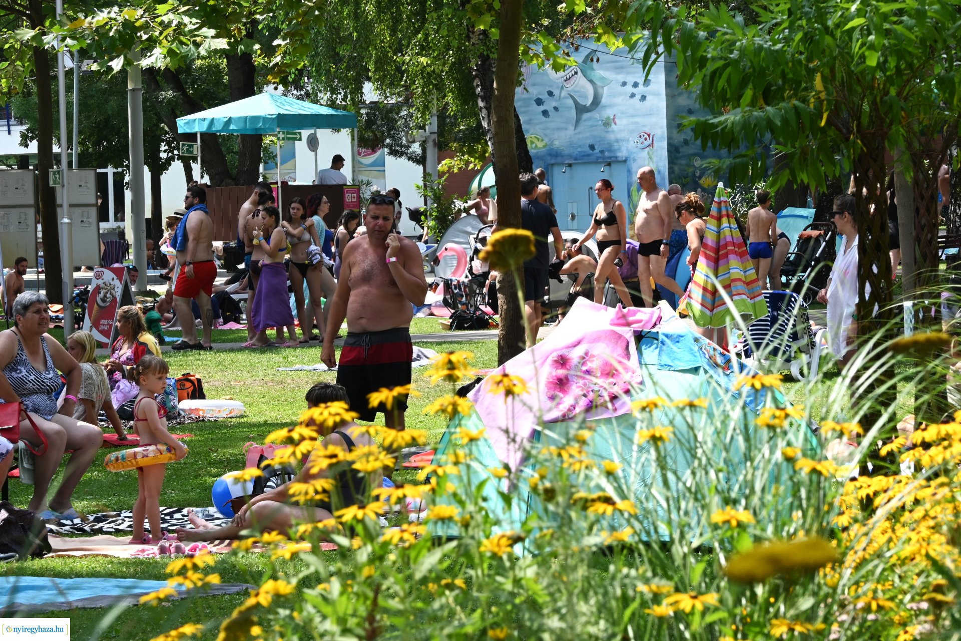 Élménynap a Parkfürdőben