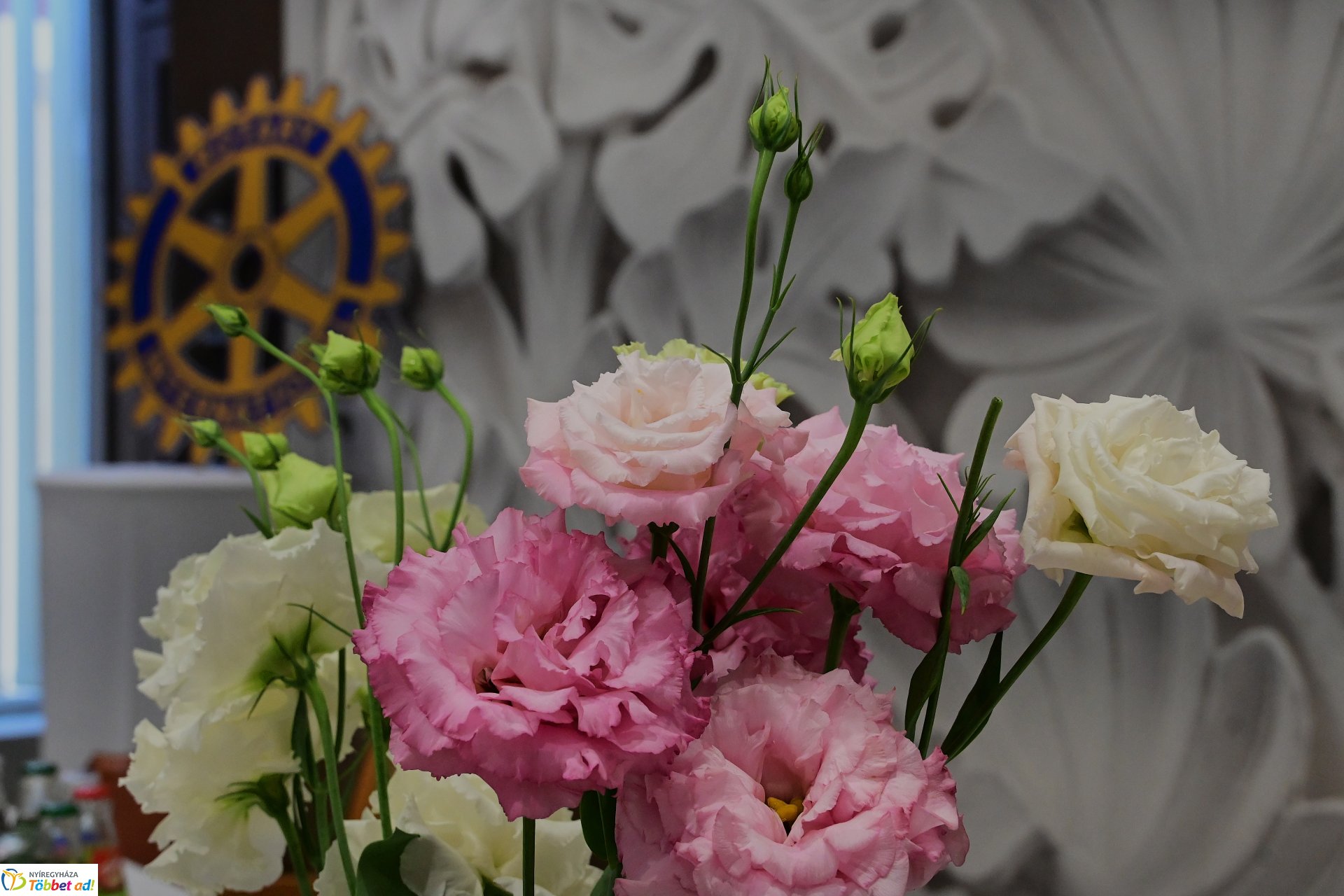 Elnöki láncátadó ünnepség a Rotary Club Nyíregyháza életében