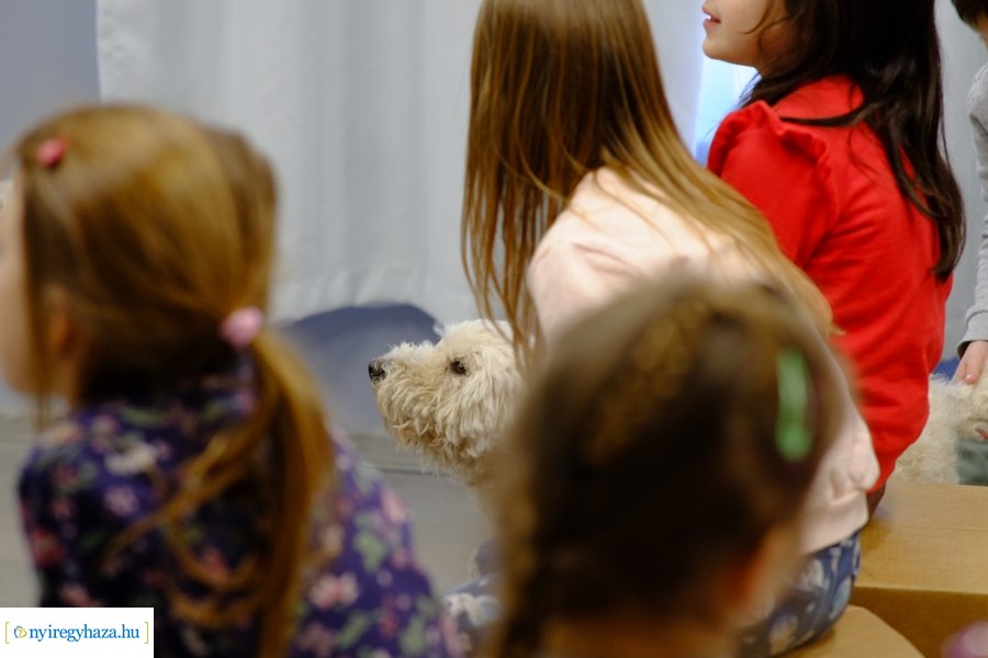 Előadás a magyar kutyafajtákról