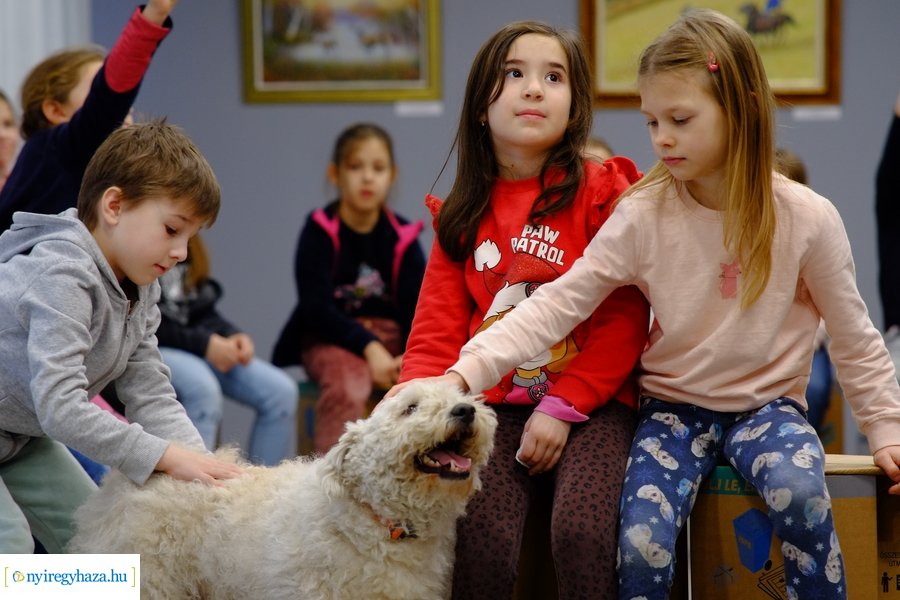 Előadás a magyar kutyafajtákról