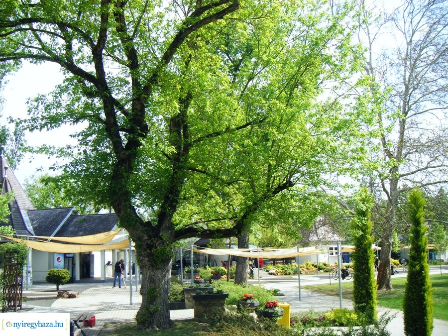 Előkészületi munkák a Tófürdőn