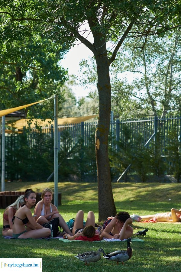 Első csobbanások a Tófürdőn